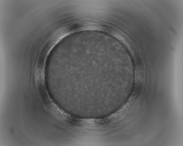 X0000112930828200909141332