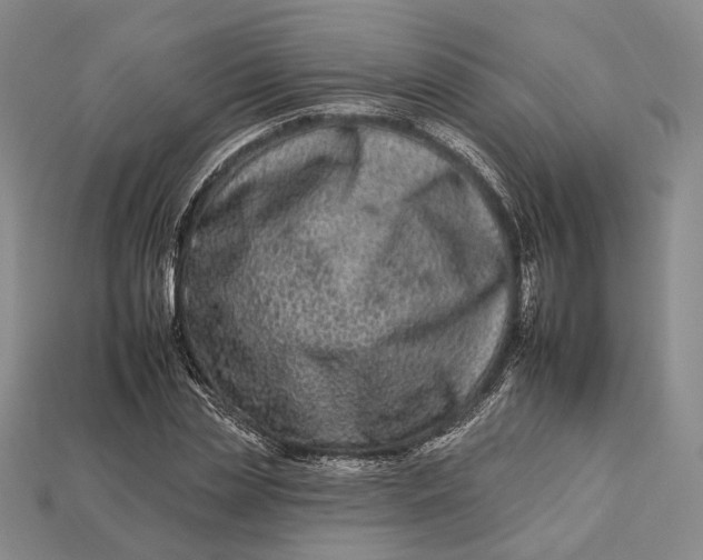 X0000112930829200909141332