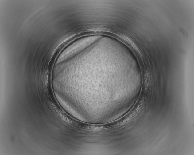 X0000112930831200909141332