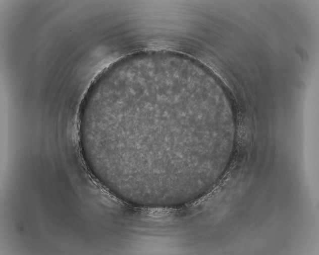 X0000112930832200909141332