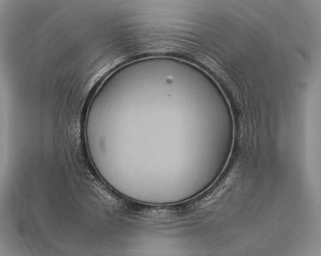 X0000112930834200909141332