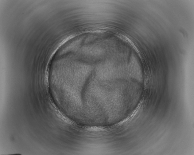 X0000112930835200909141332