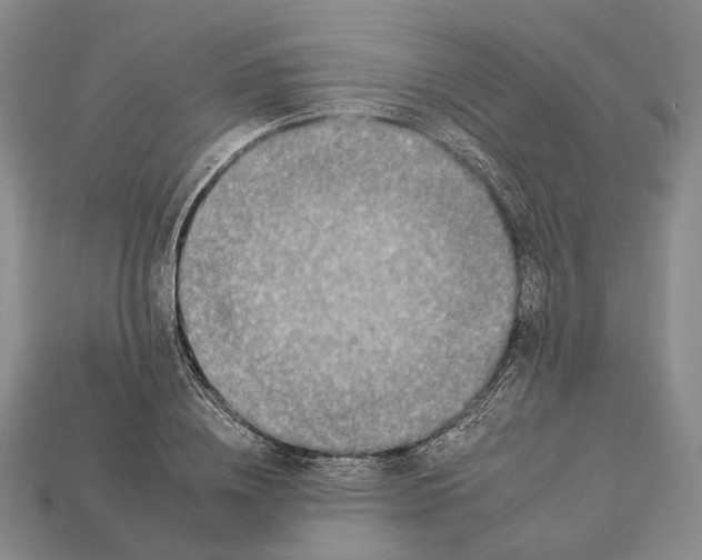 X0000112930836200909141332