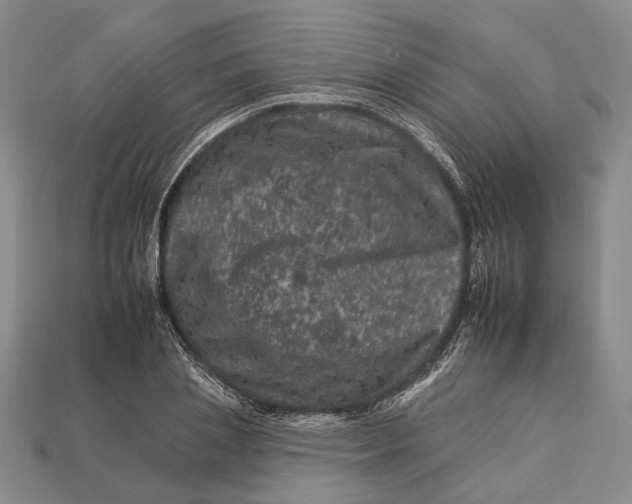 X0000112930837200909141332