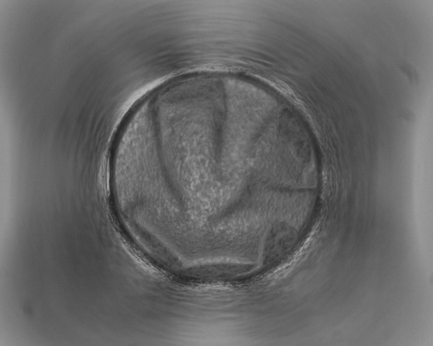 X0000112930838200909141332