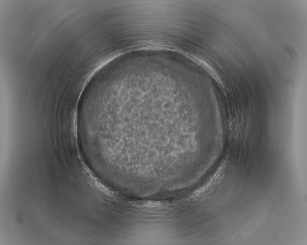 X0000112930839200909141332