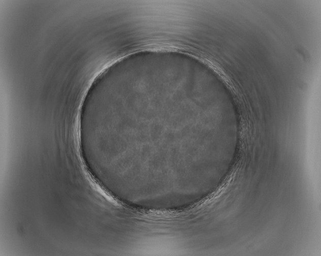 X0000112930840200909141332