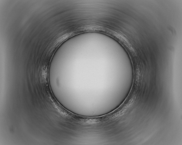 X0000112930841200909141332