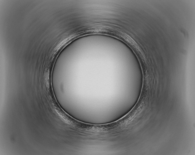 X0000112930842200909141332