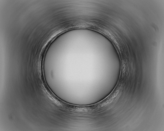 X0000112930843200909141332