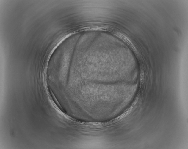 X0000112930844200909141332