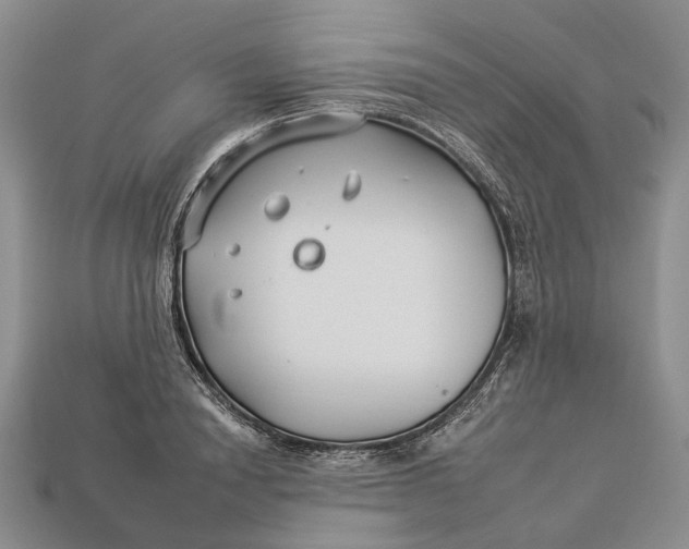 X0000112930846200909141332