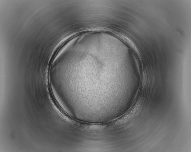 X0000112930847200909141332