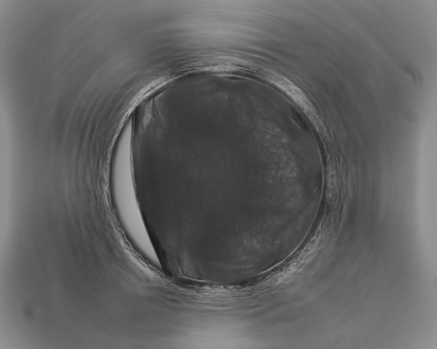 X0000112930850200909141332