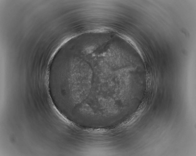 X0000112930851200909141332