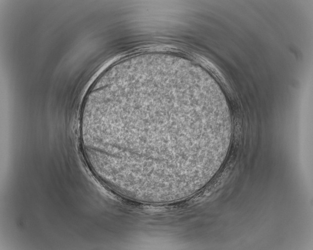 X0000112930852200909141332