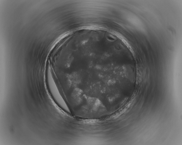 X0000112930853200909141332