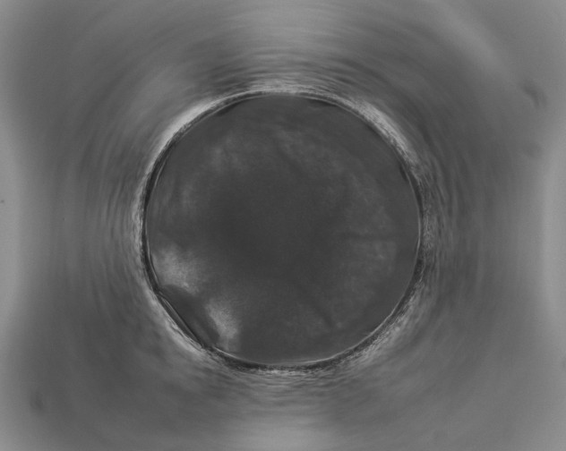 X0000112930854200909141332