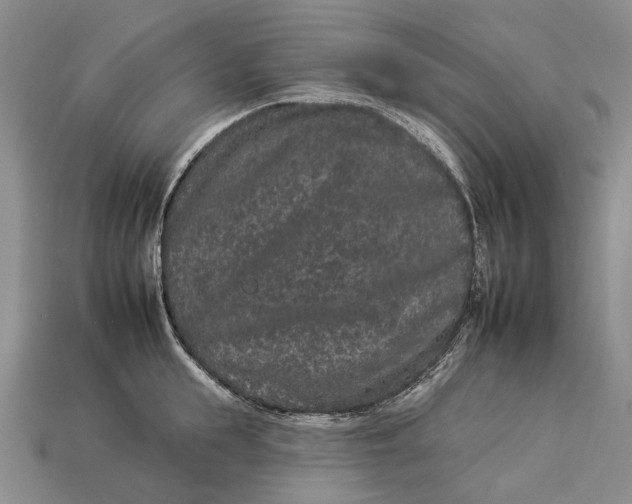 X0000112930855200909141332