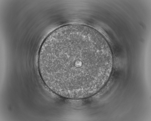 X0000112930856200909141332