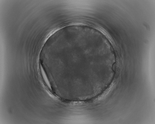 X0000112930858200909141332