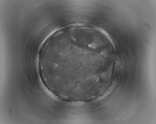 X0000112930859200909141332