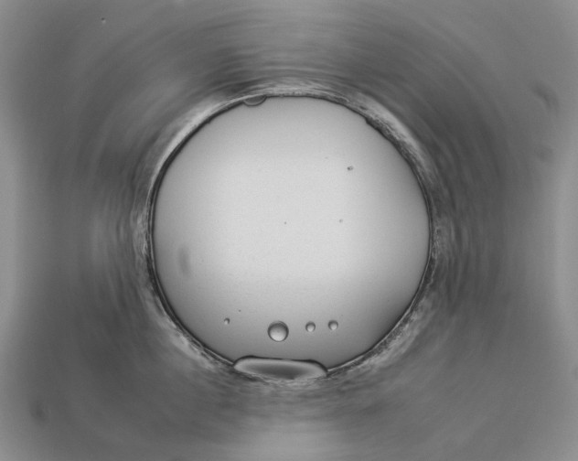 X0000112930860200909141332