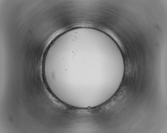 X0000112930861200909141332