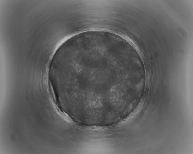 X0000112930862200909141332