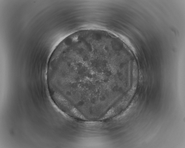 X0000112930863200909141332