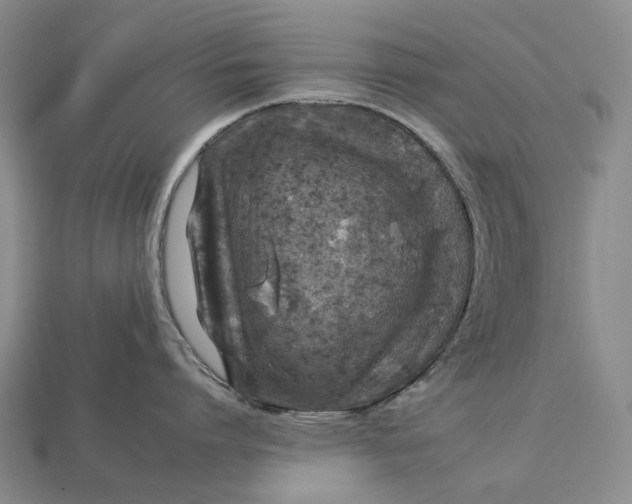 X0000112930864200909141332