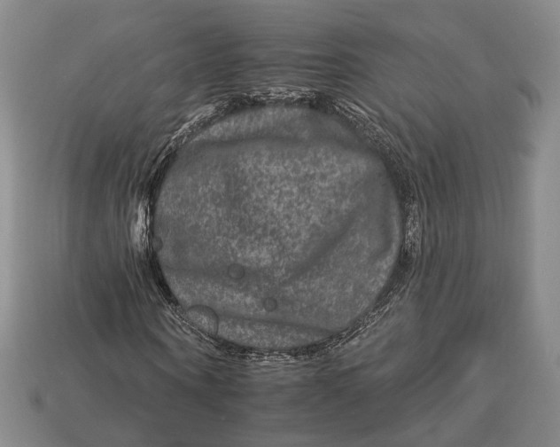 X0000112930866200909141332