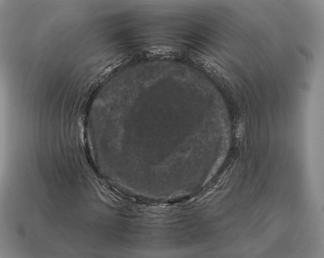 X0000112930868200909141332