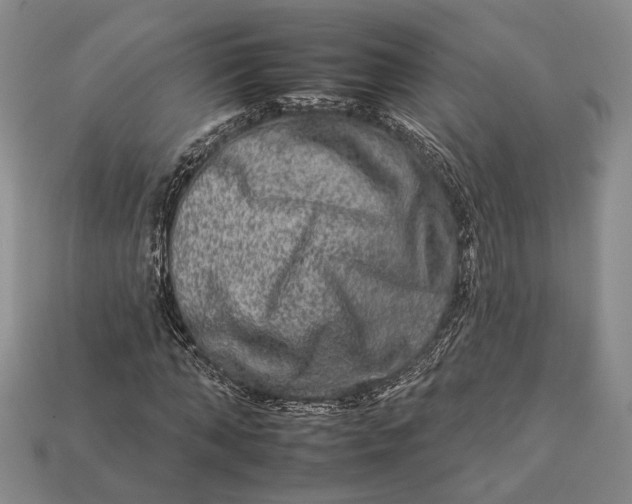 X0000112930870200909141332