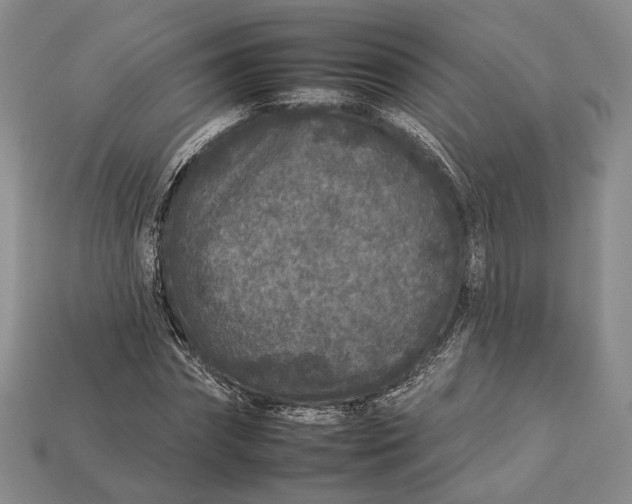 X0000112930874200909141331