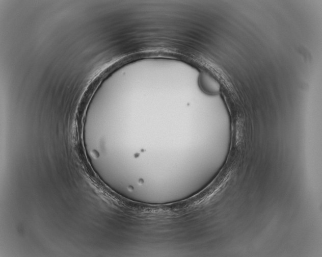 X0000112930876200909141331