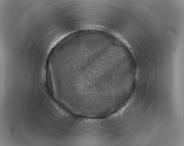 X0000112930877200909141331