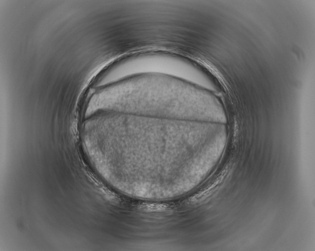 X0000112930878200909141331