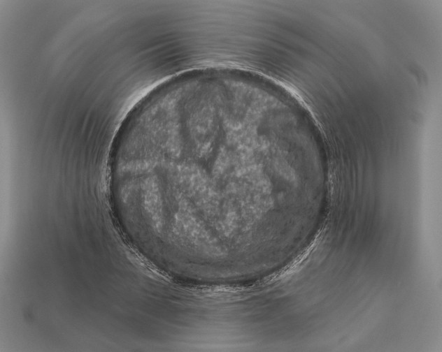 X0000112930879200909141331