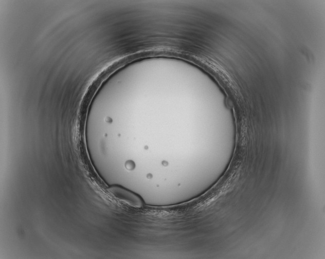 X0000112930880200909141331