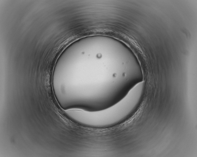 X0000112930881200909141331