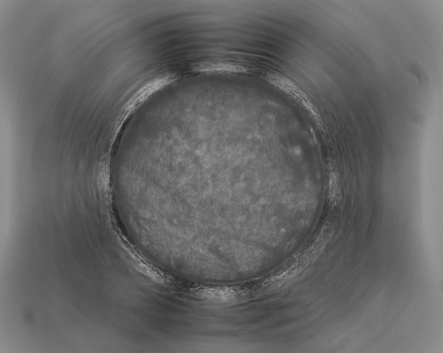 X0000112930882200909141331