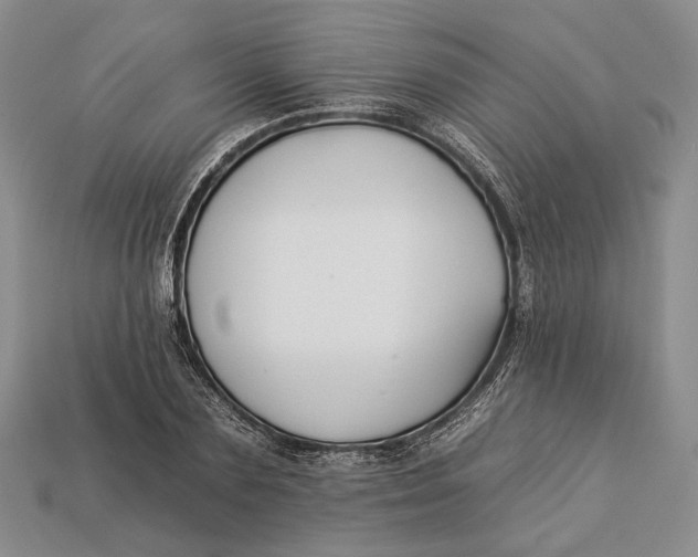 X0000112930883200909141331