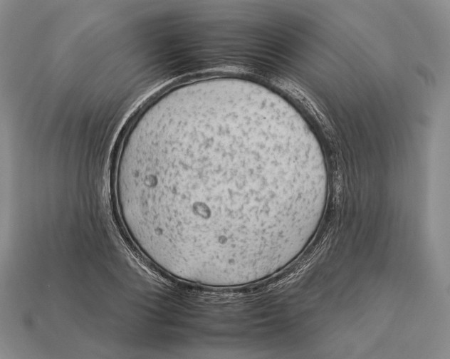 X0000112930884200909141331