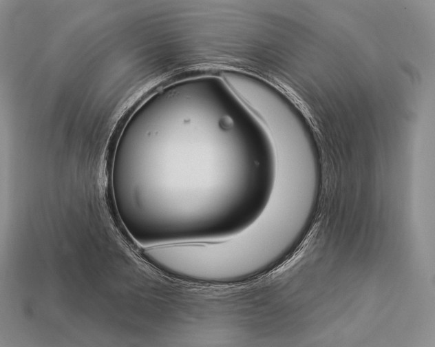 X0000112930885200909141331