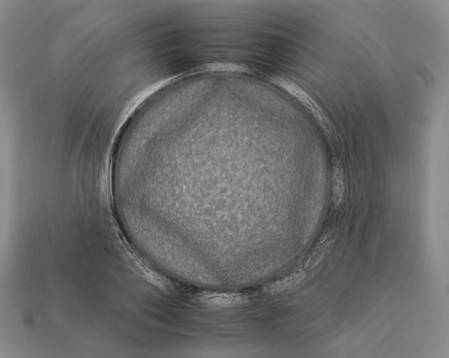 X0000112930886200909141331