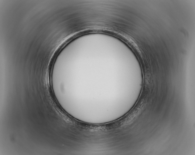 X0000112930887200909141331