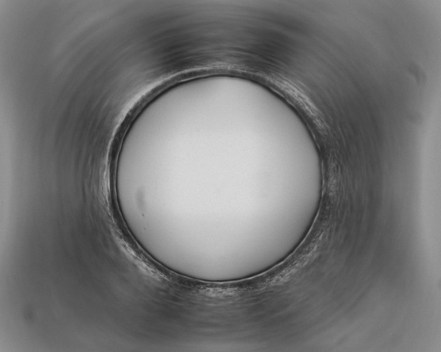 X0000112930888200909141331