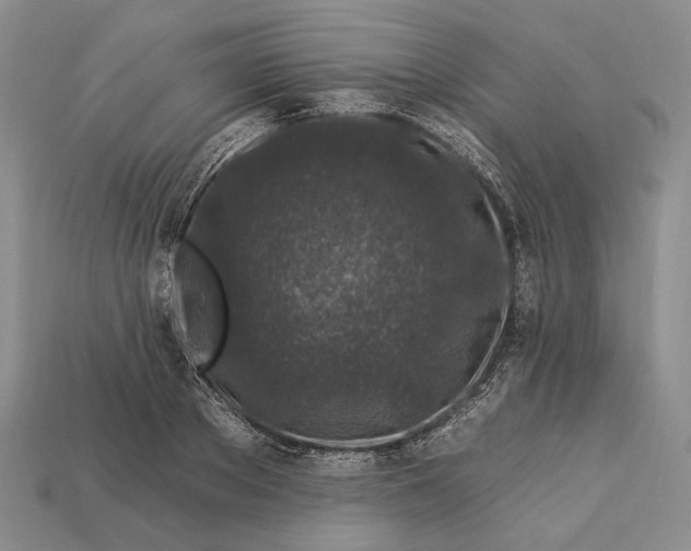 X0000112930889200909141331