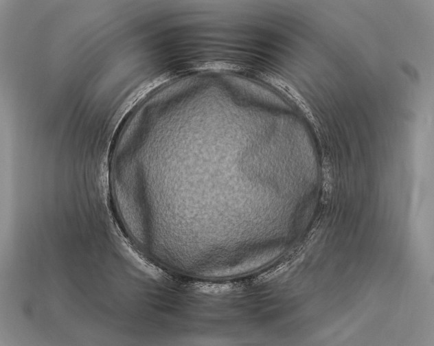 X0000112930890200909141331